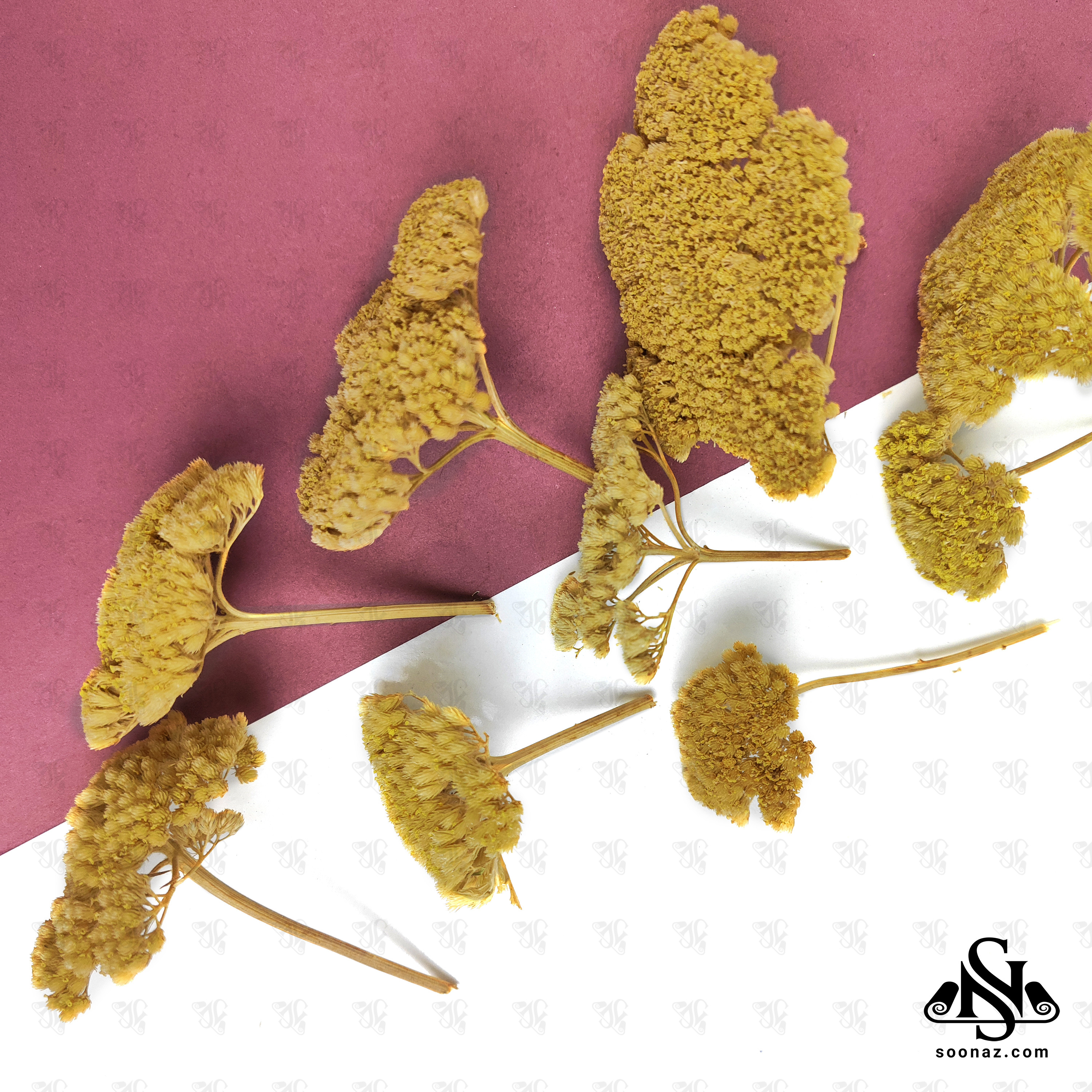 Packaged Yarrow: Nature's Ancient Remedy in a Modern Form